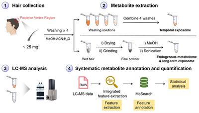 Global-Scale Metabolomic Profiling of Human Hair for Simultaneous Monitoring of Endogenous Metabolome, Short- and Long-Term Exposome